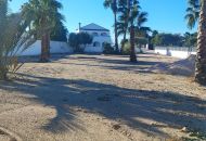 Sale - Finca - Catral