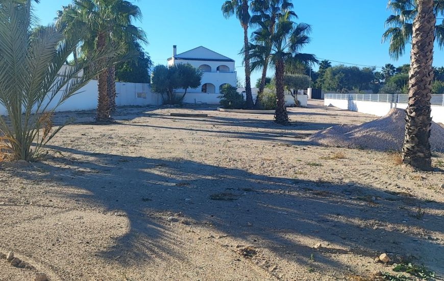 Sale - Finca - Catral