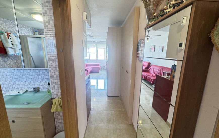 Sale - Apartments - Mil Palmerales - Mil Palmeras