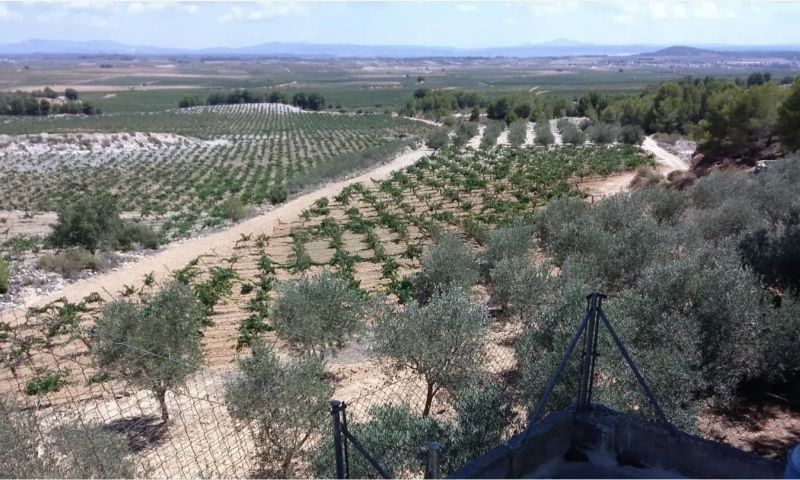 Sale - Villa - Venta Del Moro