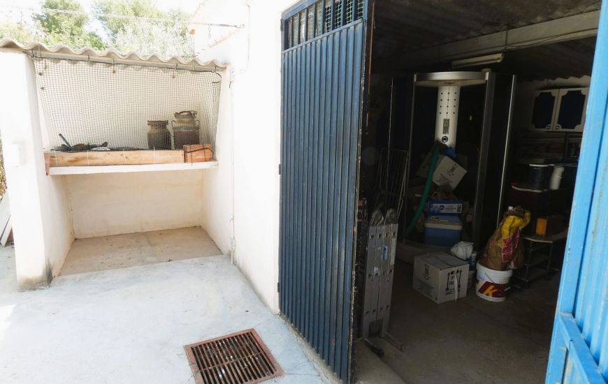 Sale - Finca - Dolores
