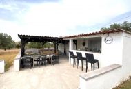 Sale - Finca - Sax