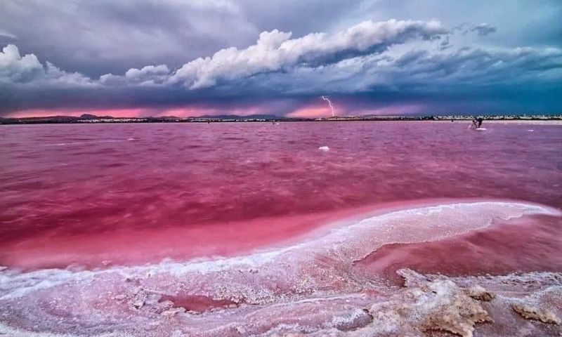 Venta - Bungalow - Torrevieja