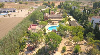 Finca - Sale - Catral - Catral