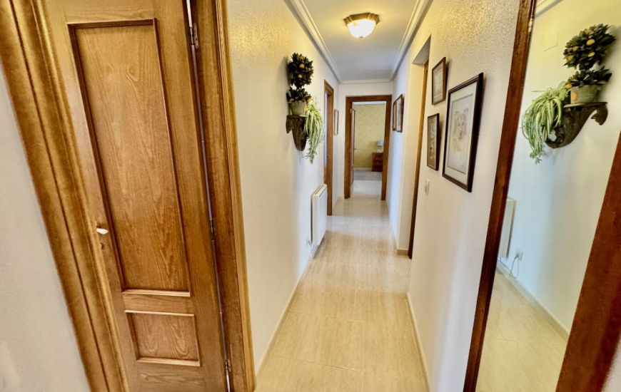 Venta - Casa Rural - Catral