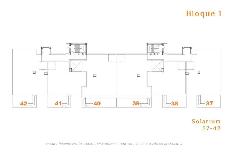 New Build - Penthouse - San Miguel de Salinas - 