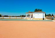 Sale - Finca - Catral