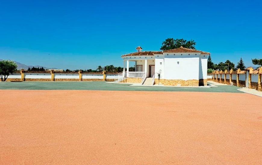 Sale - Finca - Catral