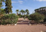Sale - Finca - Daya Vieja