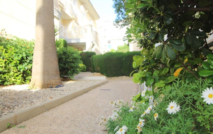 Sale - Apartments - La Veleta