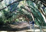 Venta - Bungalow - Torrevieja