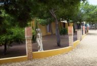 Sale - Finca - Ciudad Quesada