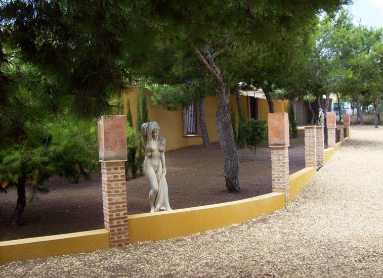 Sale - Finca - Ciudad Quesada