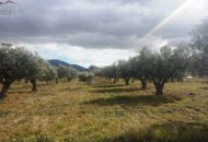 Venta - Terreno - Biar