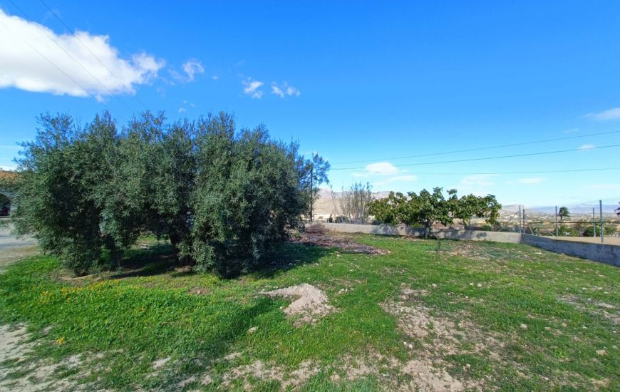 Venta - Casa Rural - Hondon de los Frailes