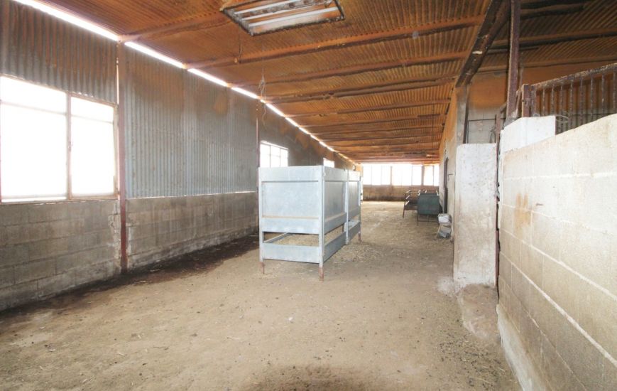 Venta - Casa Rural - Aspe pedanias