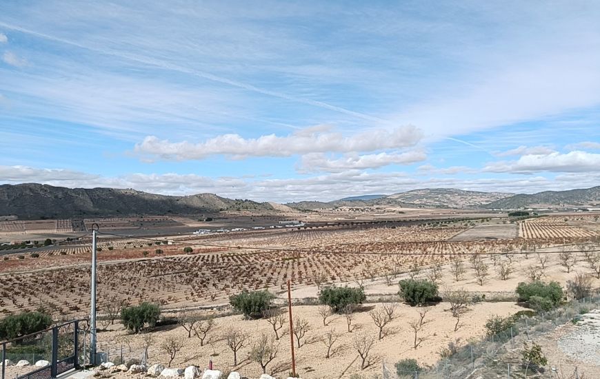 New Build - Villa - Cañada de la Leña