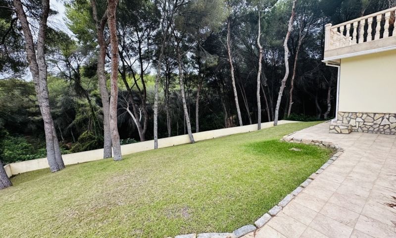 Venta - Apartamentos - 