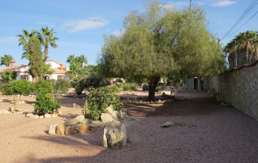 Sale - Finca - Daya Vieja