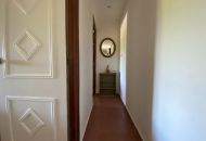 Sale - Finca - Sax
