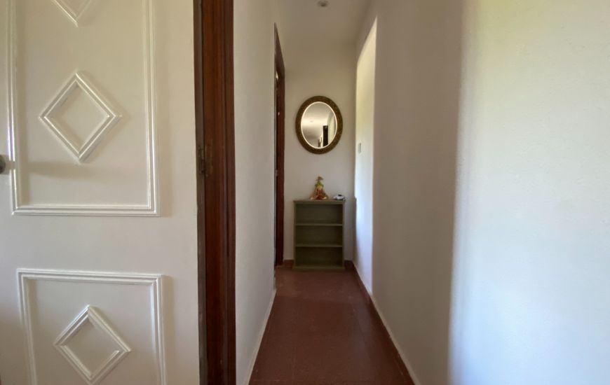 Sale - Finca - Sax