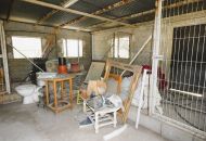 Sale - Finca - Dolores