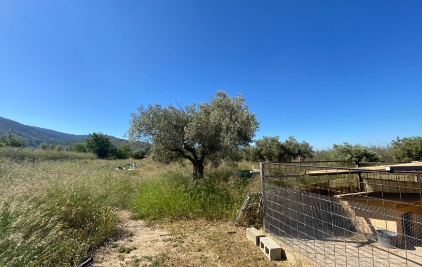 Sale - Country Property - Sax