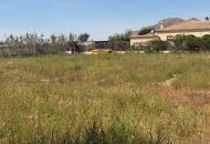 Sale - Finca - Catral