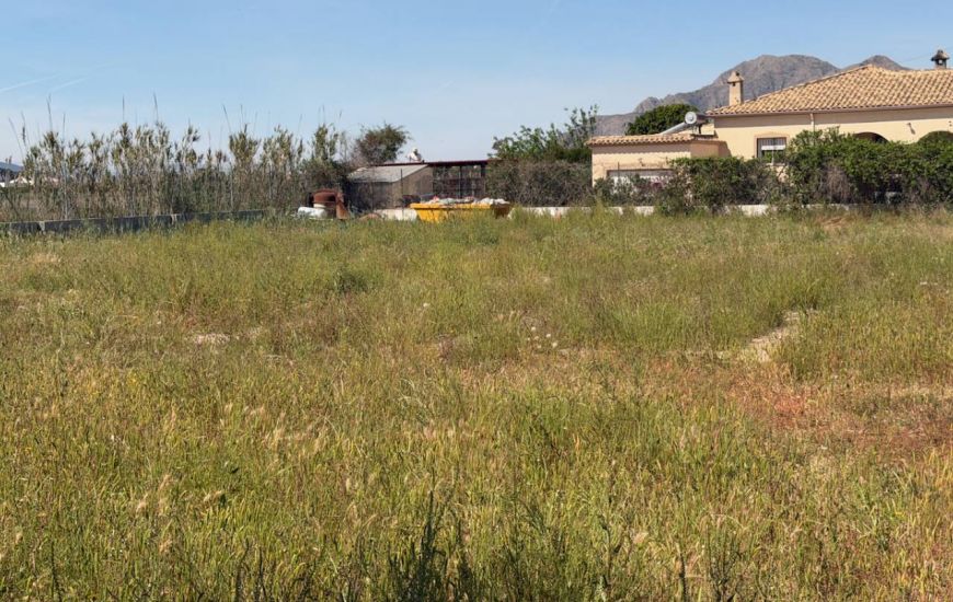 Sale - Finca - Catral