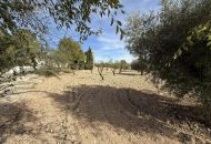 Sale - Country Property - Jumilla