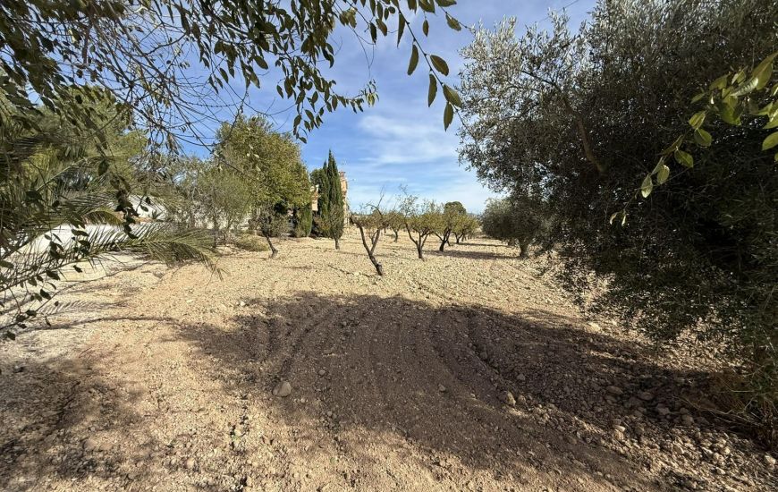Sale - Country Property - Jumilla