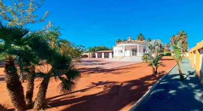 Casa Rural - Nueva construcción  - Catral - Catral