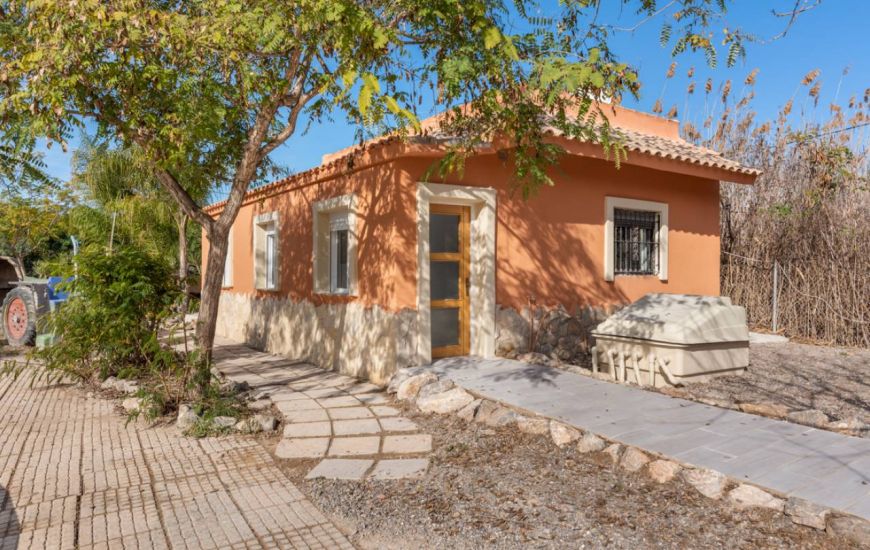 Sale - Finca - Catral