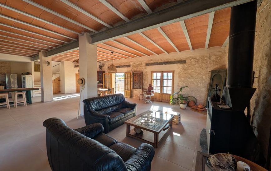 Sale - Finca - Salinas