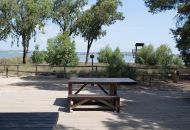 Sale - Apartments - La Mata - 