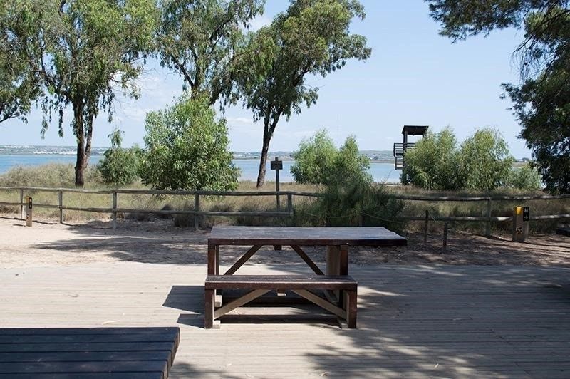 Sale - Apartments - La Mata - 