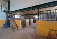 Sale - Country Property - Monovar