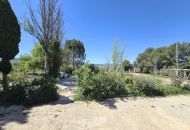 Sale - Finca - Salinas