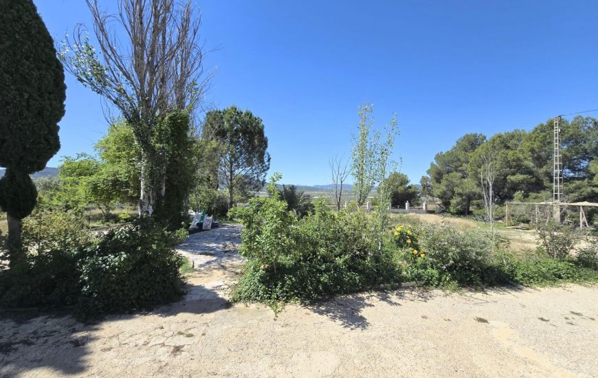 Sale - Finca - Salinas