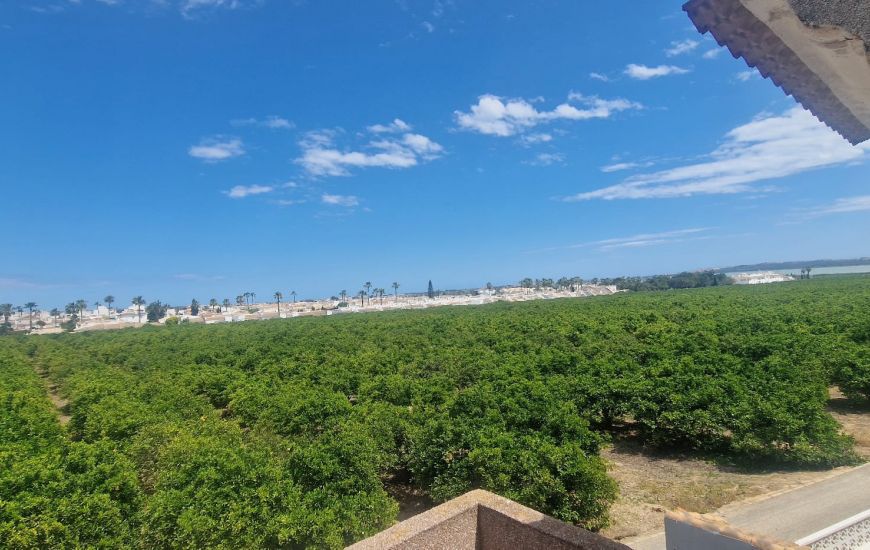 Venta - Adosado - Ciudad Quesada