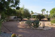 Sale - Finca - Daya Vieja