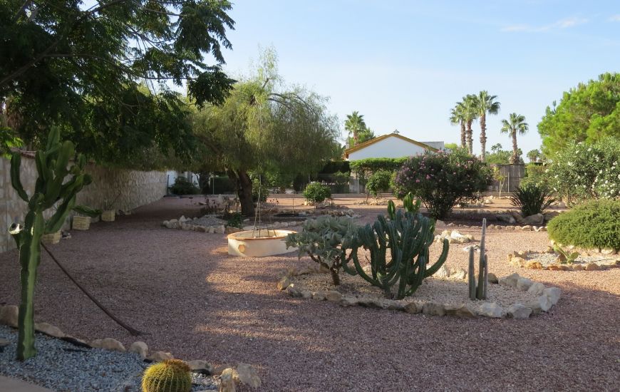 Sale - Finca - Daya Vieja