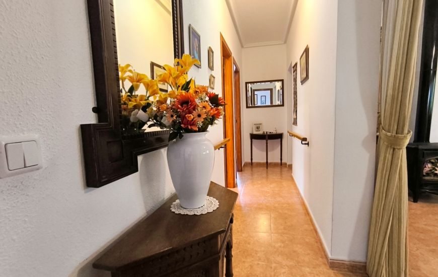 Sale - Finca - Orihuela