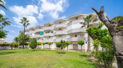Apartamentos - Venta - Orihuela Costa - Orihuela Costa