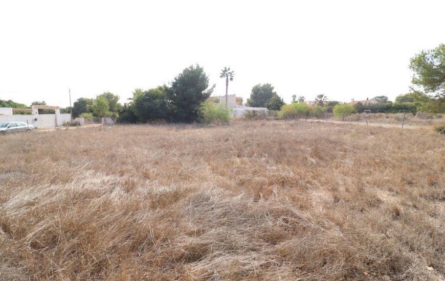 Venta - Terreno - Orihuela Costa