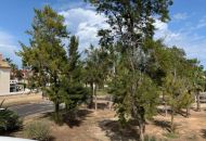 Sale - Apartments - Guardamar del Segura