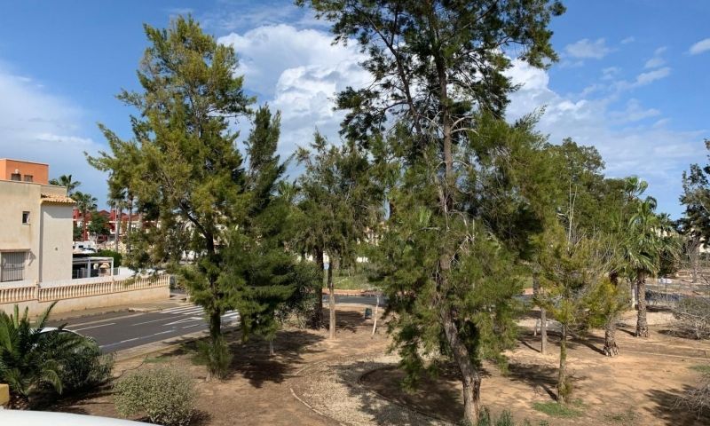 Sale - Apartments - Guardamar del Segura