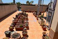 Sale - Apartments - Playa Flamenca