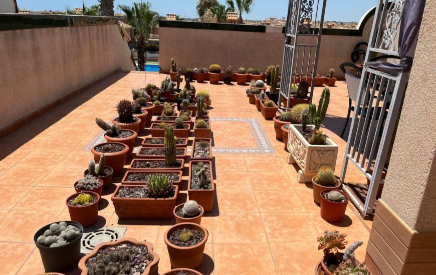 Sale - Apartments - Playa Flamenca