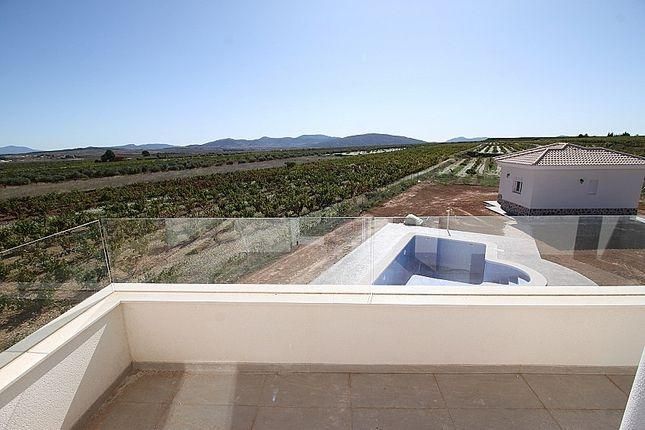New Build - Villa - Pinoso